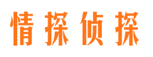 西沙找人公司